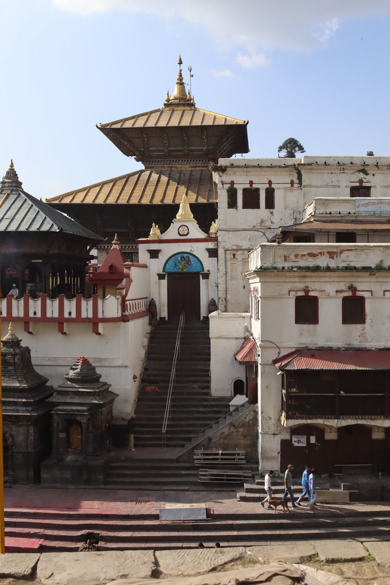The golden roof of Pashupatinath temple above white buildings and stone steps
